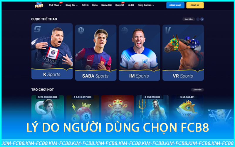 Lý do người dùng chọn Fcb8